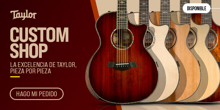 ES_TAYLOR Custom Shop : Push