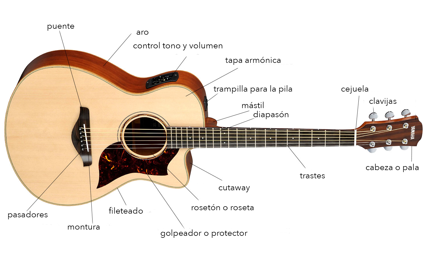 Se Pueden Poner Cuerdas De Nylon A Una Guitarra Electroacustica Guia de Compras - Guitarra Folk