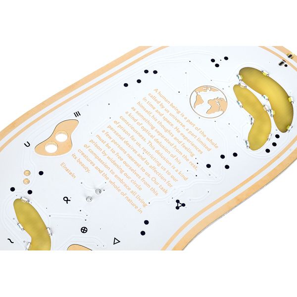 Playtronica Biotron Midi Controller - Controlador Midi - Variation 2