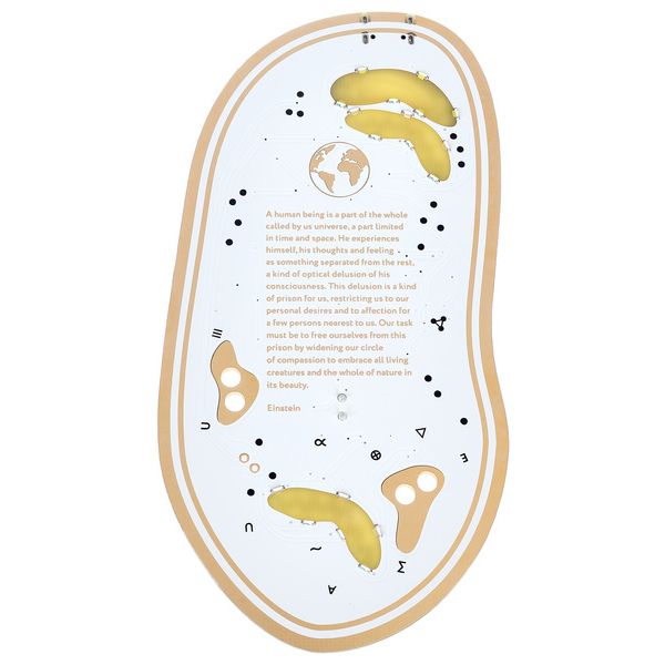 Playtronica Biotron Midi Controller - Controlador Midi - Variation 1