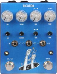 Pedal de reverb / delay / eco Ac noises RICORDA REVERB FREEZE