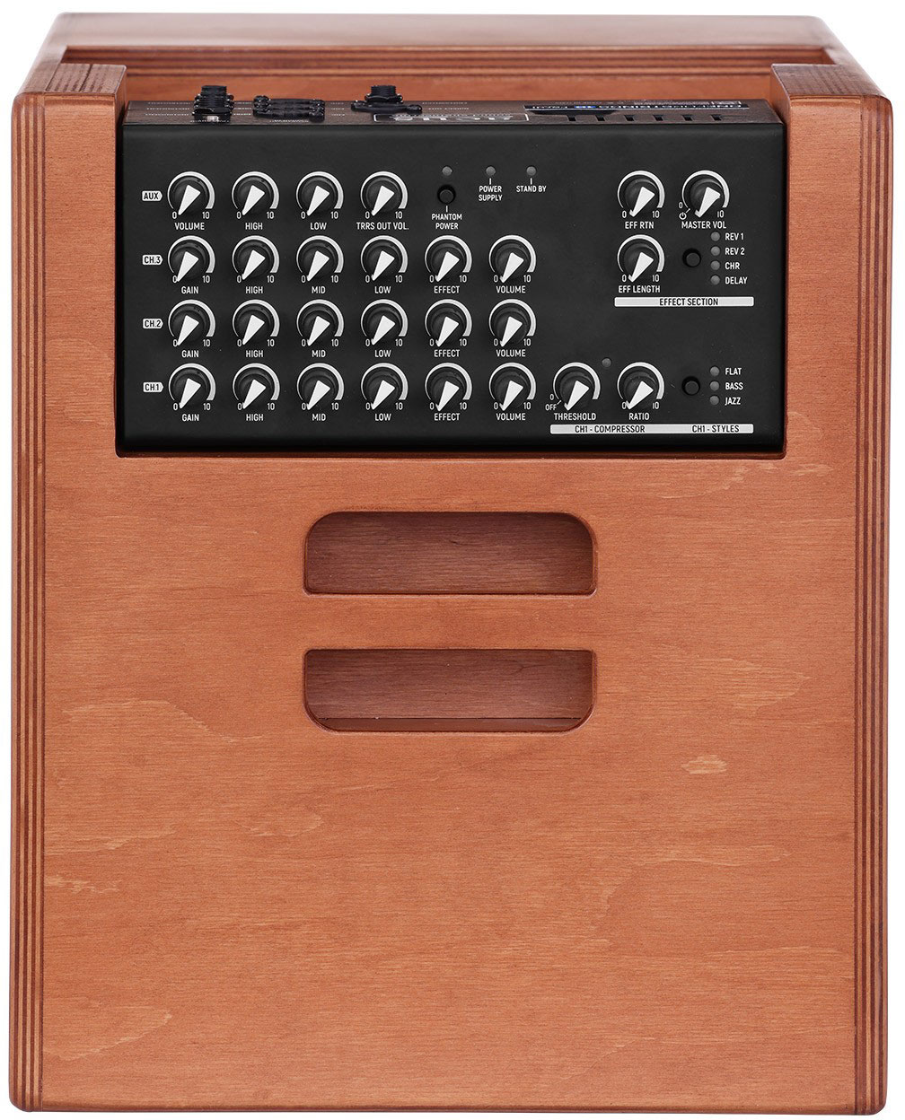 Acus One Forstrings 10ferdi 1x10 + Tweeter 170+80w Cherry Wood - Combo amplificador acústico - Variation 3