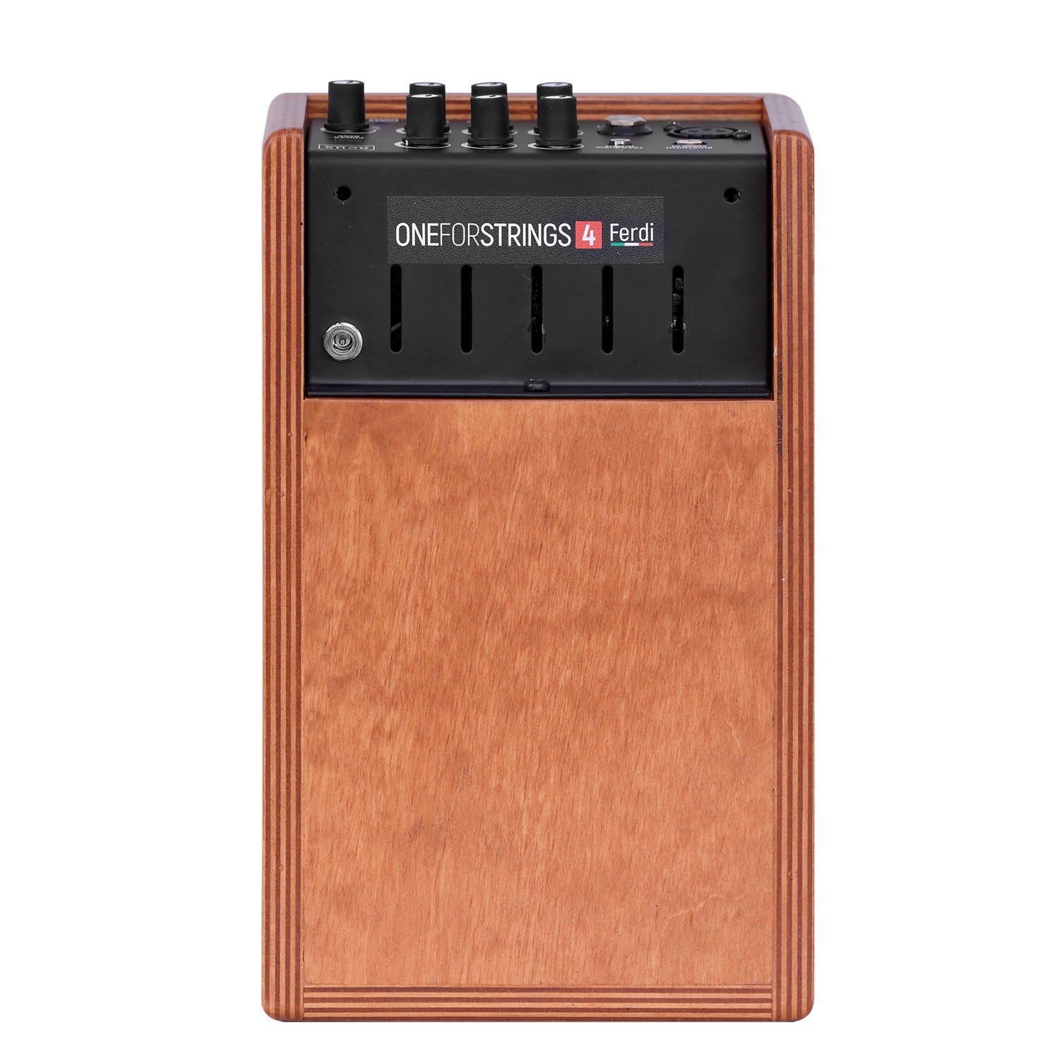 Acus One Forstrings 4ferdi Wood 40w - Combo amplificador acústico - Variation 2