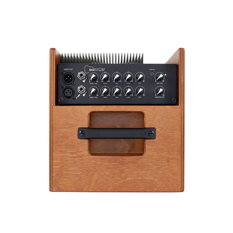 Acus One Forstrings 5t - Wood - Combo amplificador acústico - Variation 2