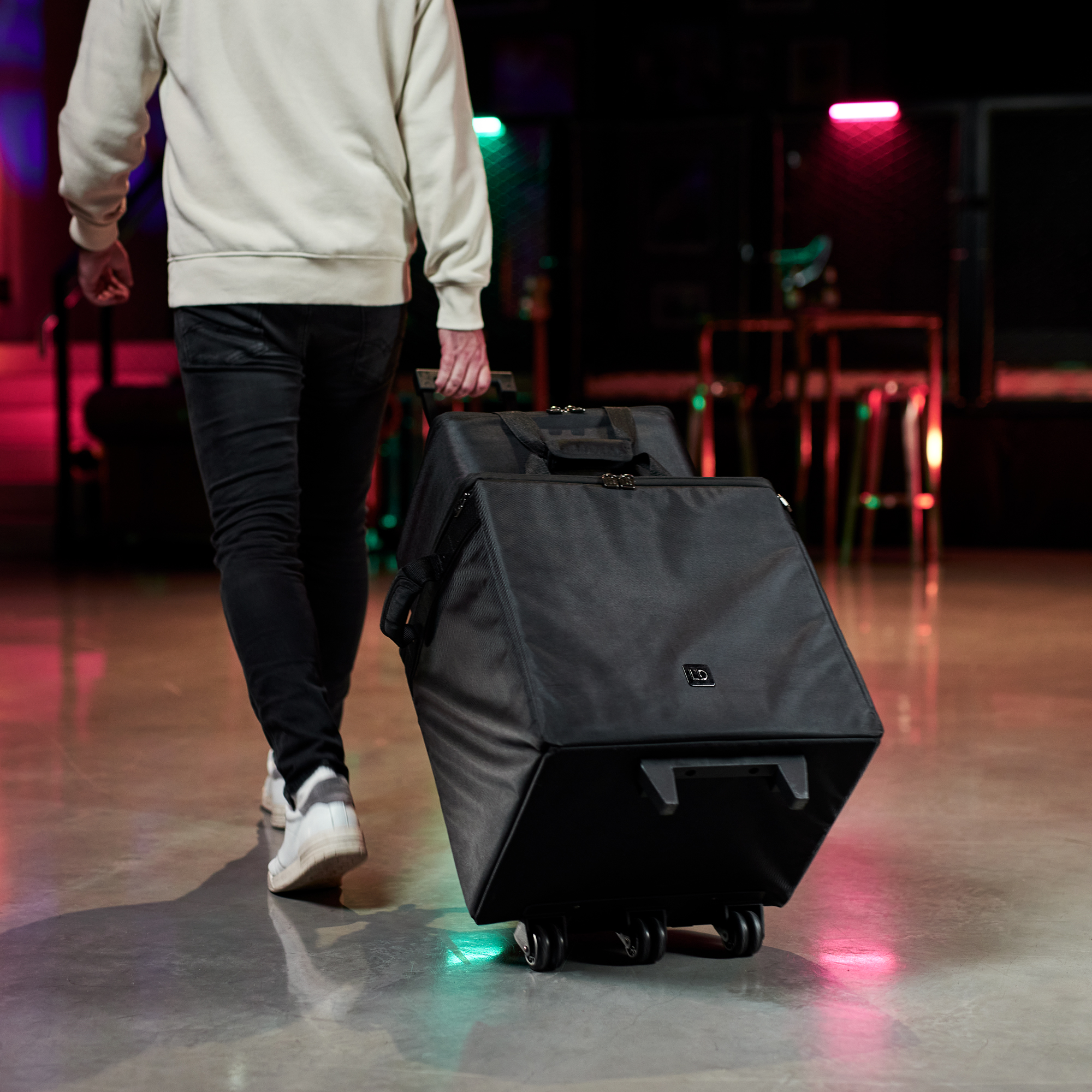Ld Systems Dave 10 G4x Bag Set - Funda para altavoz y bafle de bajos - Variation 13