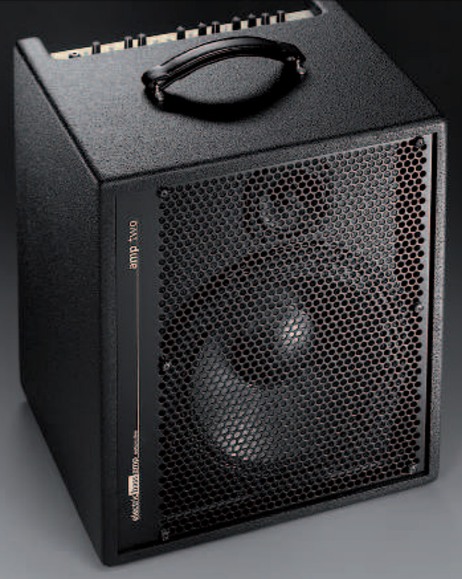 Aer Amp Two 240w 1x12 - Combo amplificador para bajo - Variation 1