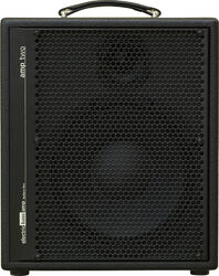 Combo amplificador para bajo Aer Amp Two