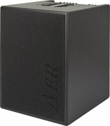 Combo amplificador para bajo Aer Basic Performer 2