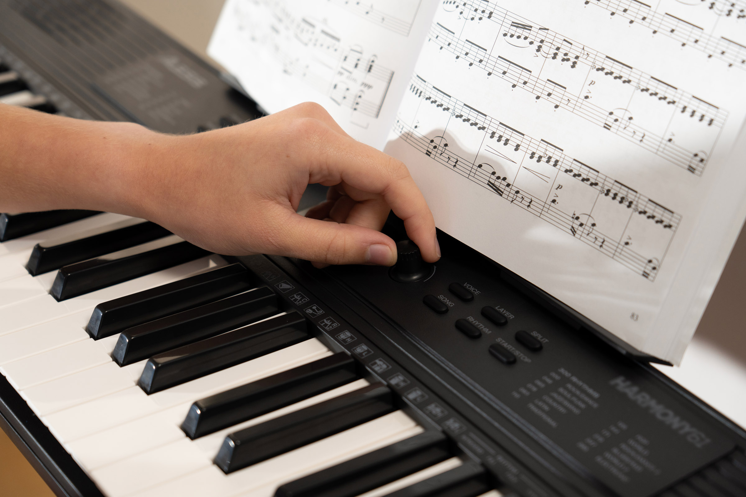 Alesis Harmony 61 Mk4 - Teclado de entertainer / Arreglista - Variation 9