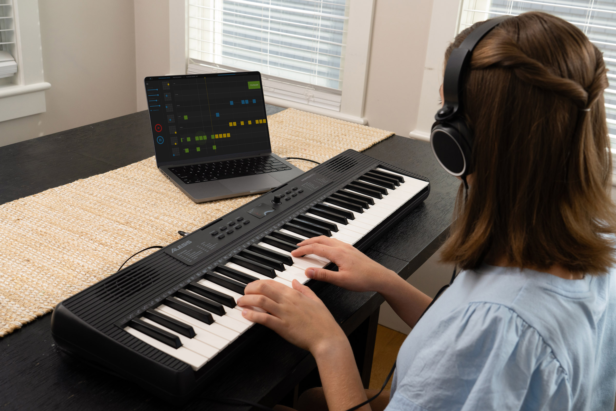 Alesis Harmony 61 Mk4 - Teclado de entertainer / Arreglista - Variation 8