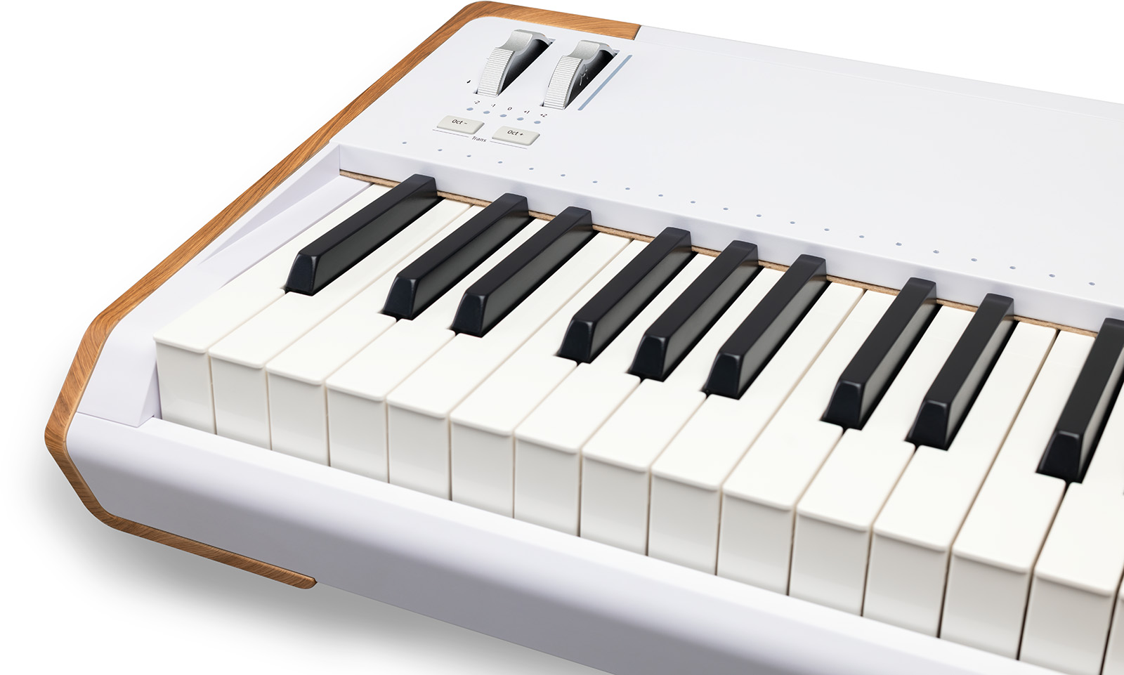Arturia Astrolab 88 - Teclado de escenario - Variation 6