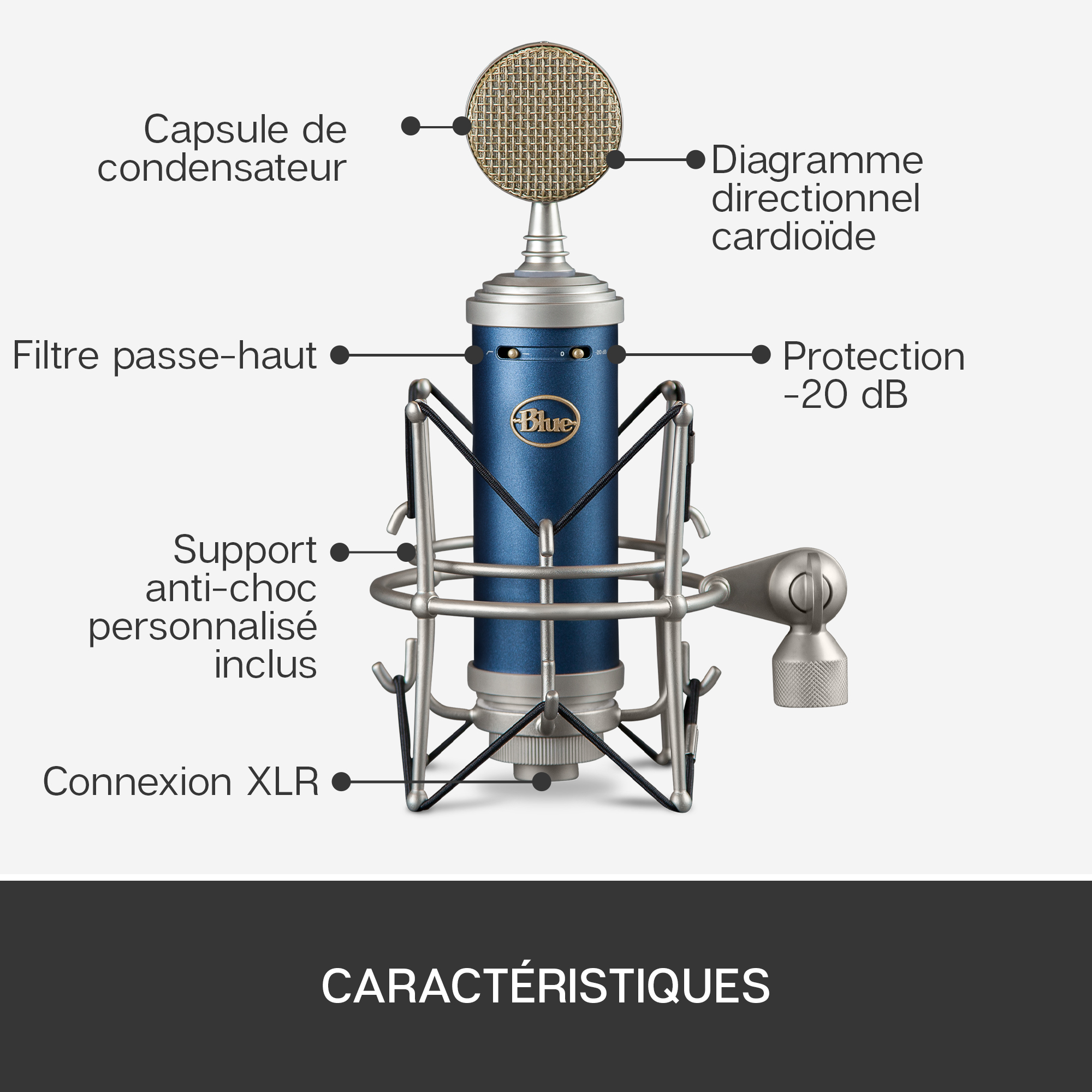 Blue Bluebird Sl + Blue Compass - Pack de micrófonos con soporte - Variation 1