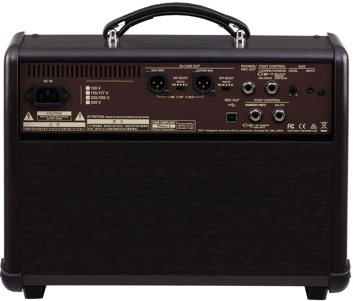 Boss Acoustic Singer Live 60w 1x6.5 - Combo amplificador acústico - Variation 2