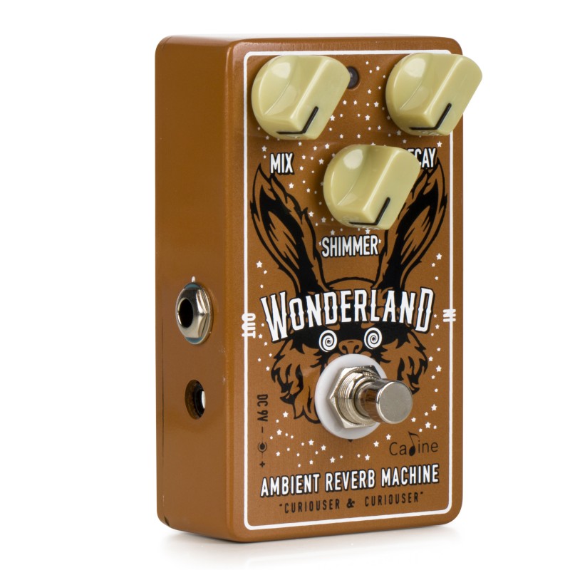 Caline Cp508 Wonderland Reverb - Pedal de reverb / delay / eco - Variation 2