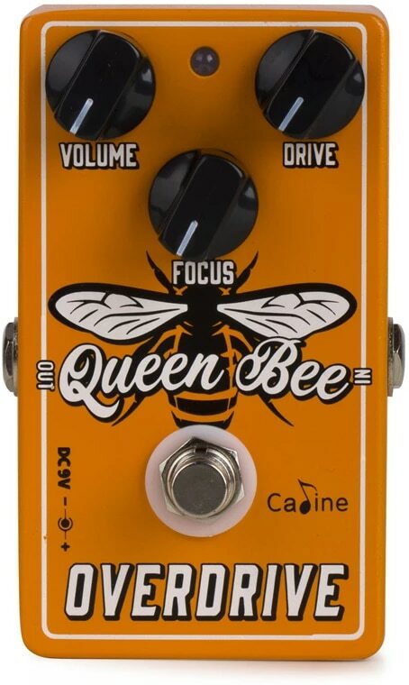 Caline Cp503 Queen Bee Overdrive - Pedal overdrive / distorsión / fuzz - Main picture