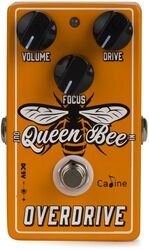 CP503 Queen Bee Overdrive