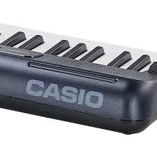 Casio Ct-s300 - Teclado de entertainer / Arreglista - Variation 4
