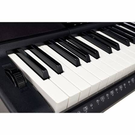 Casio Ct-x800 - Teclado de entertainer / Arreglista - Variation 3