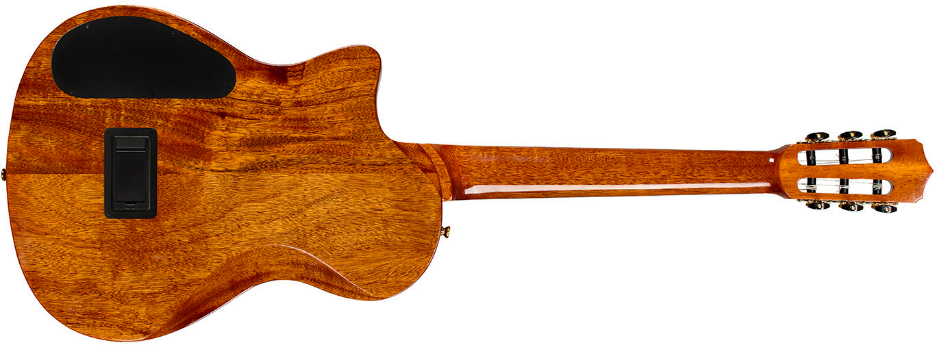 Cordoba Stage Artist Cw Epicea Acajou Eb - Agave Burst - Guitarra clásica 4/4 - Variation 1