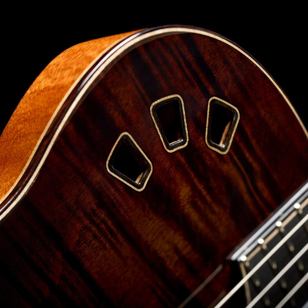 Cordoba Stage Artist Cw Epicea Acajou Eb - Habano Burst - Guitarra clásica 4/4 - Variation 6