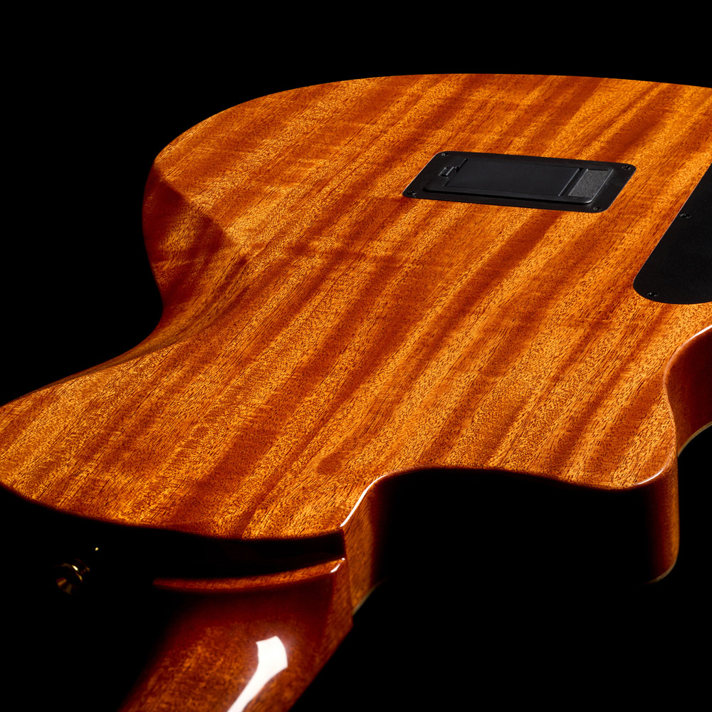 Cordoba Stage Artist Cw Epicea Acajou Eb - Habano Burst - Guitarra clásica 4/4 - Variation 7