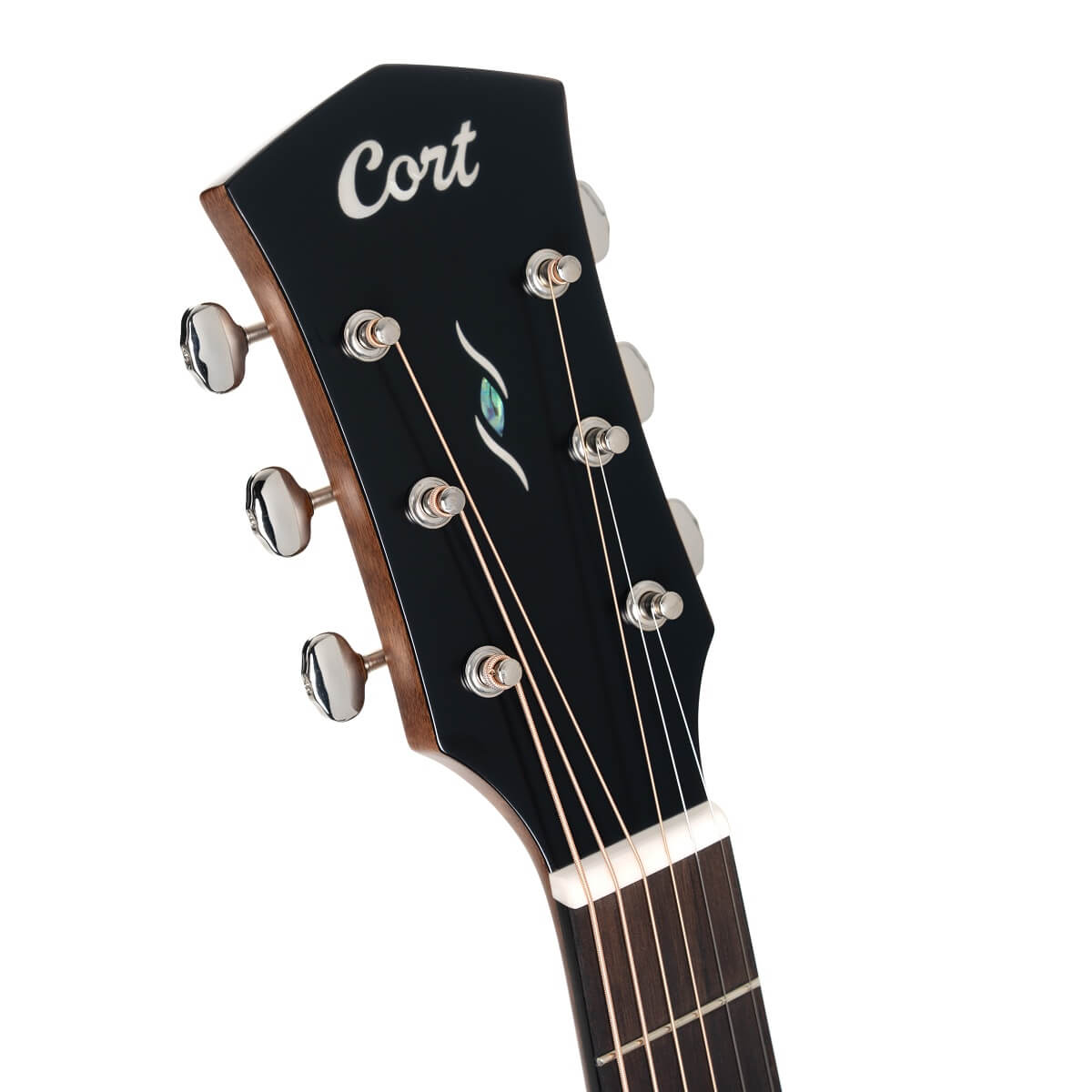 Cort Core-mc Ovangkol Concert Cw Cedre Ovangkol Rw - Black - Guitarra folk - Variation 4