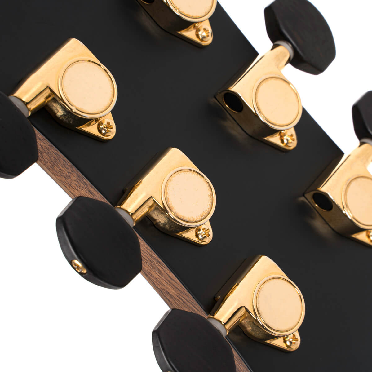 Cort Flow Oc Om Cw Cedre Acajou Eb - Natural Satin - Guitarra folk - Variation 9