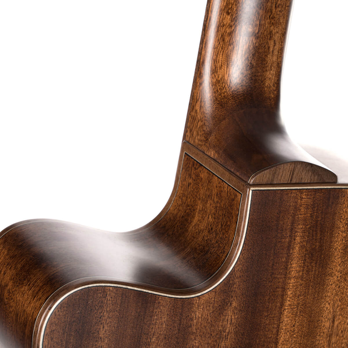 Cort Flow Oc Om Cw Cedre Acajou Eb - Natural Satin - Guitarra folk - Variation 7