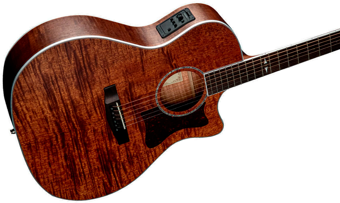 Cort Ga5f-fmh Grand Regal Auditorium Cw Tout Acajou Ova - Natural Open Pore - Guitarra folk - Variation 4