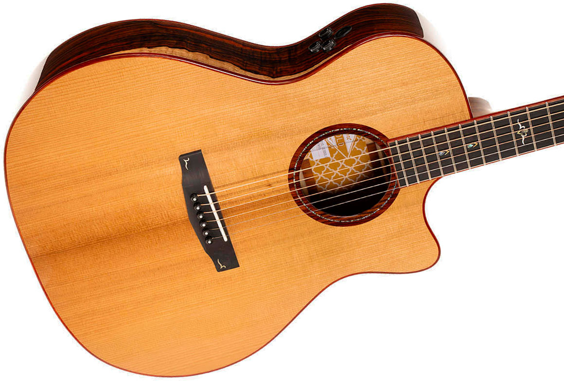 Cort Gold A10 Cocobolo Grand Auditorium Cw Epicea Cocobolo Eb - Natural - Guitarra folk - Variation 2