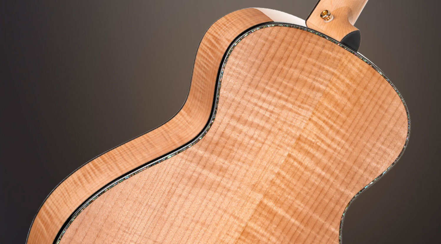 Cort Gold Passion Grand Concert Epicea Erable Eb - Natural - Guitarra folk - Variation 6