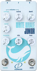 Pedal de reverb / delay / eco Crazy tube circuit White Whale Junior (Reverb, Tremolo)