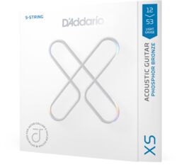 Cuerdas guitarra acústica D'addario 12-53 Light, Jacob Collier 5-String Taylor,  Coated Acoustic Guitar Strings - Juego de 5 cuerdas