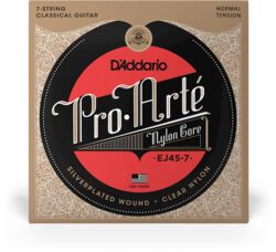 EJ45-7 7 String Nylon Classic
