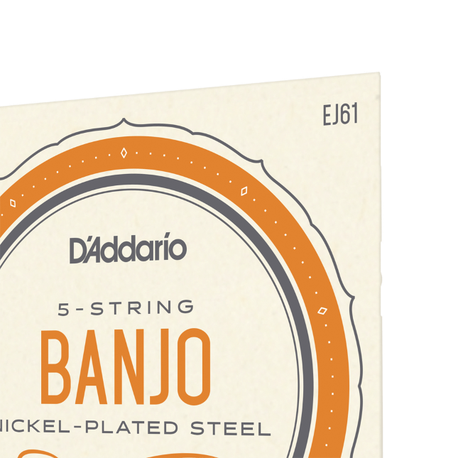 D'addario Ej61 5-string Bango Medium Nickel Plated Steel 010-023 - Cuerdas banjo - Variation 1
