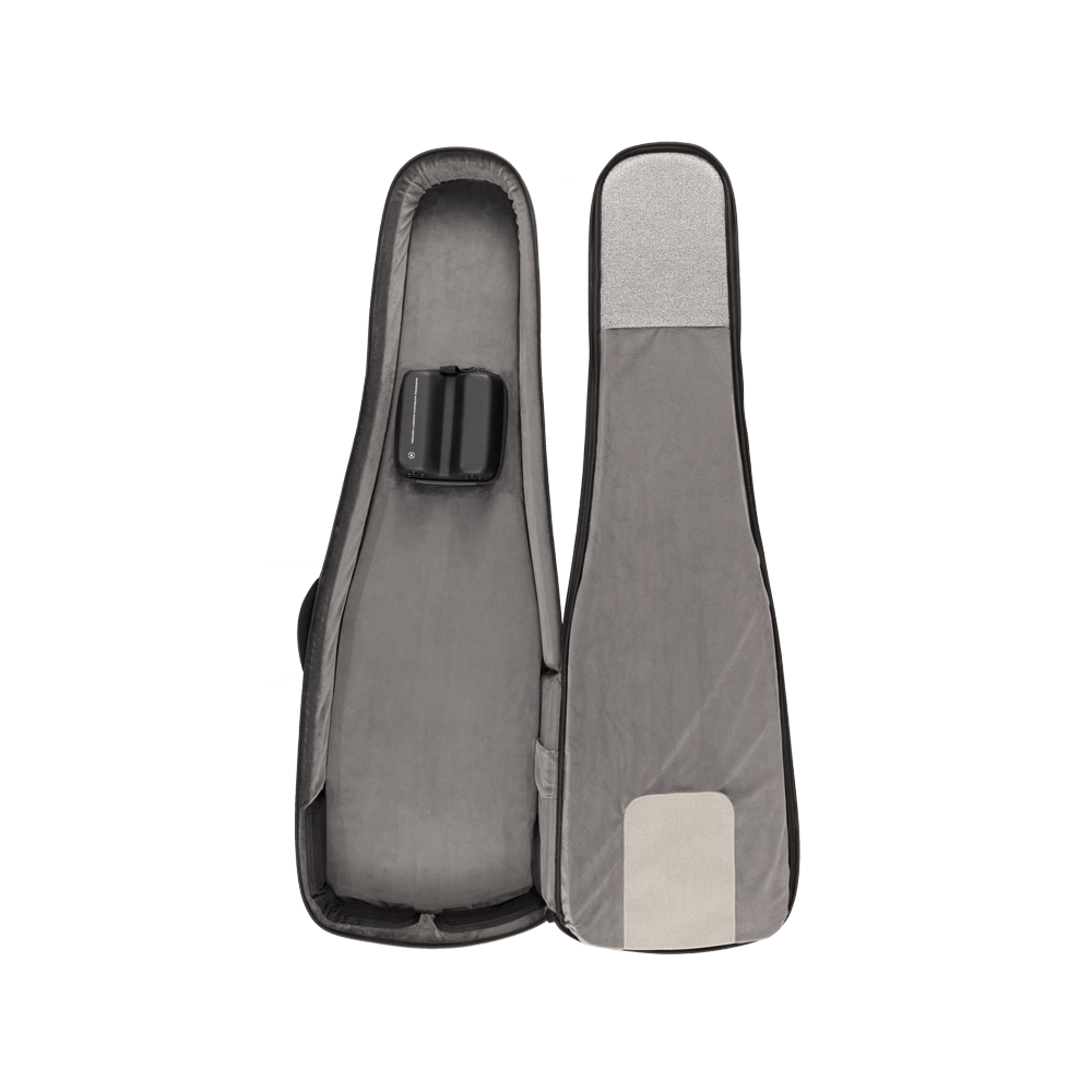 D'addario Pw-blebc-01 Backline Electric Bass Case - Maleta para guitarra eléctrica - Variation 10