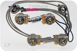 Potenciómetro Dimarzio GW2101
