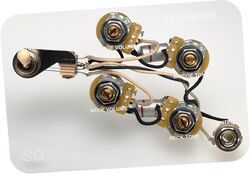 Potenciómetro Dimarzio GW2104