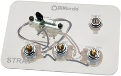 Potenciómetro Dimarzio GW2108A5