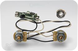 Potenciómetro Dimarzio GW2110