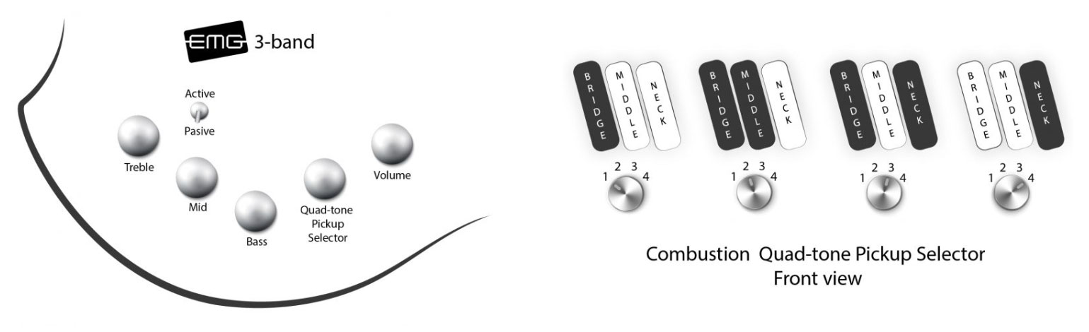 Dingwall Combustion Cb3 5c 3pu Active Pf - Vintage Burst Gloss - Bajo eléctrico de cuerpo sólido - Variation 6