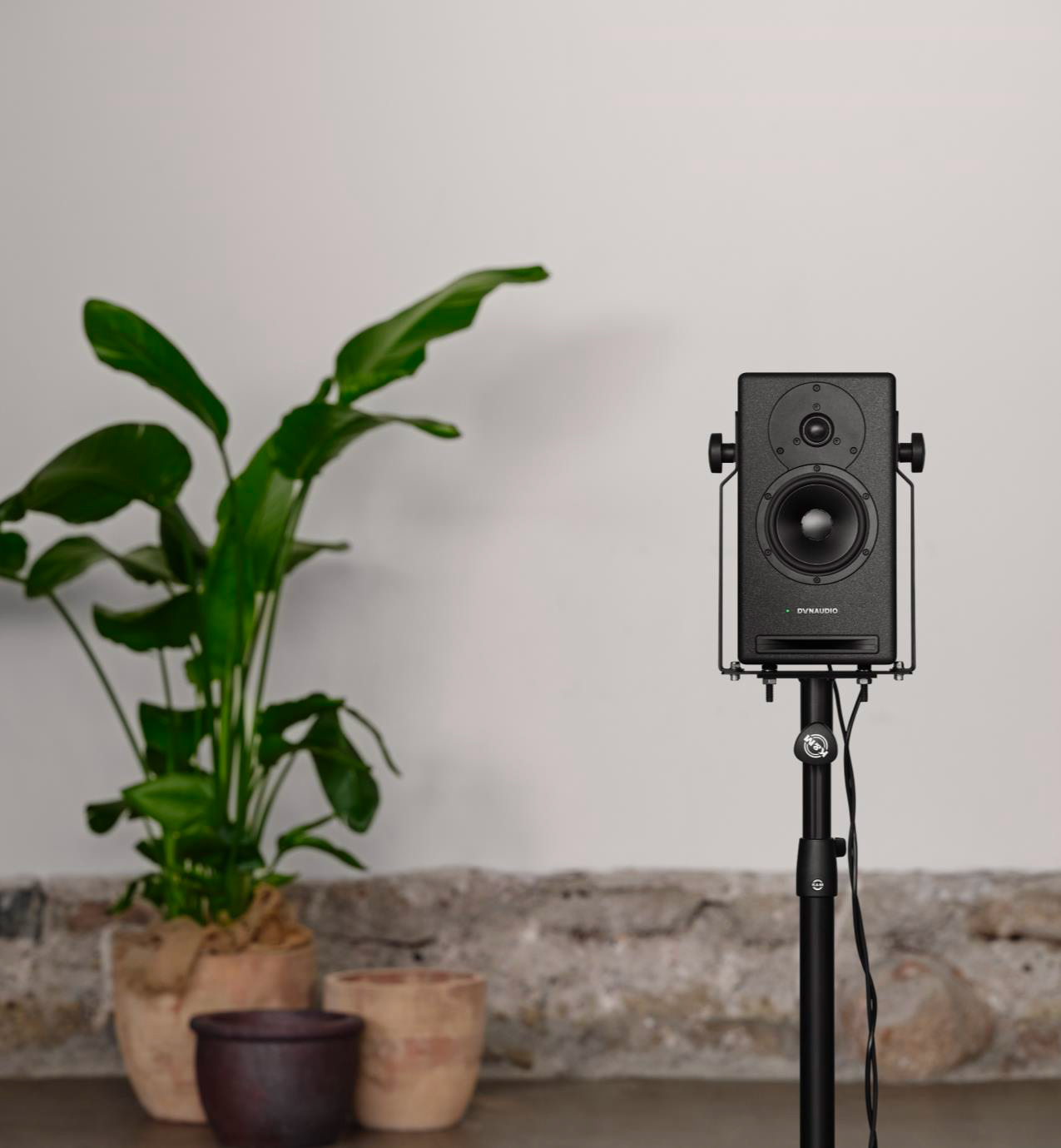 Dynaudio Core 5 - La PiÈce - Monitor de estudio activo - Variation 6