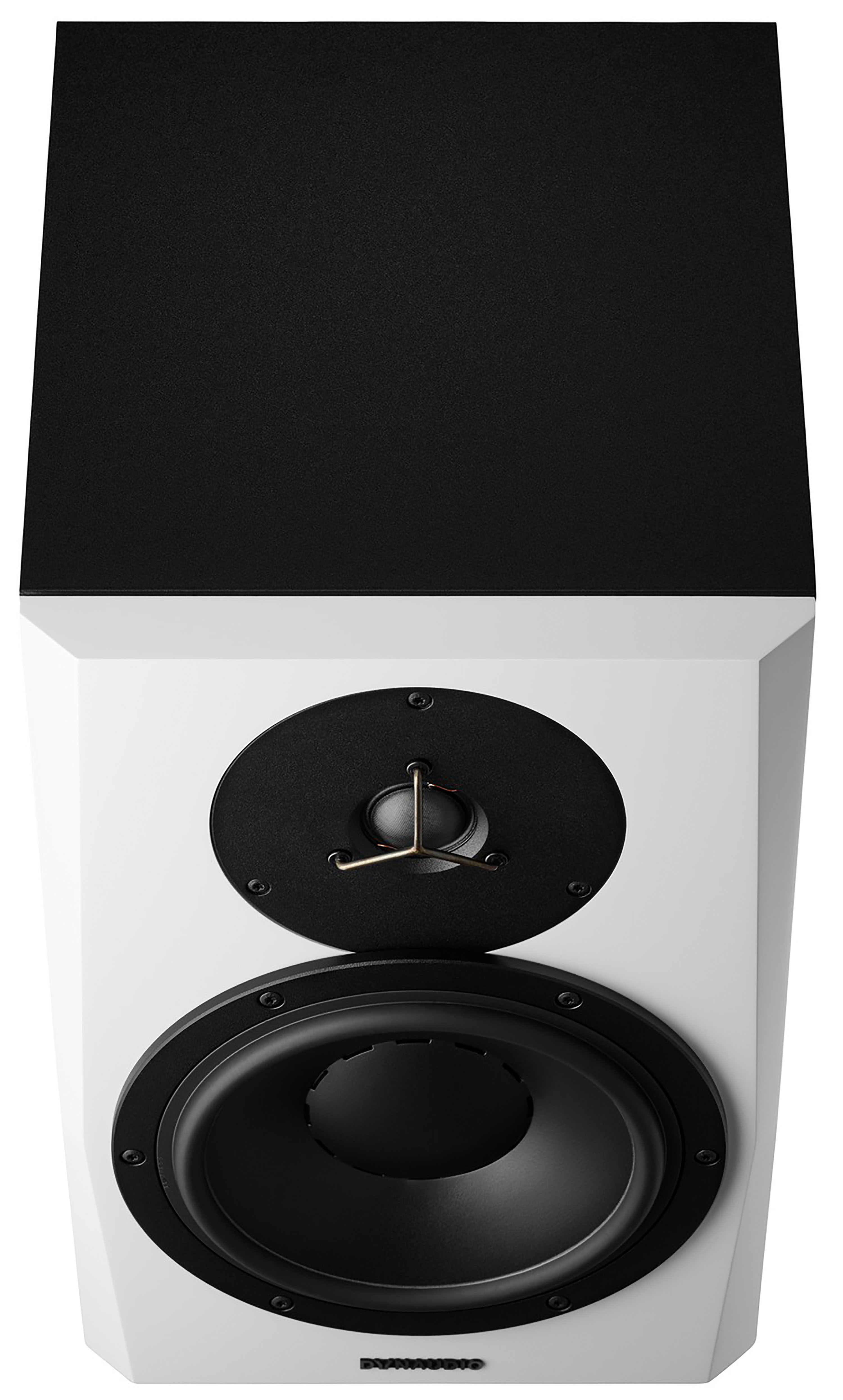 Dynaudio Lyd 8 B/w - La PiÈce - Monitor de estudio activo - Variation 2