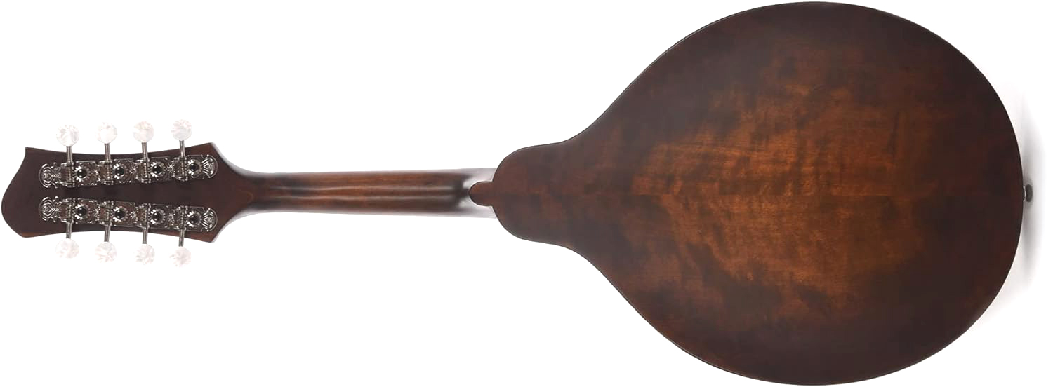 Eastman Md304 A-style Oval-hole Epicea Erable Eb +housse - Classic - Mandolina - Variation 1