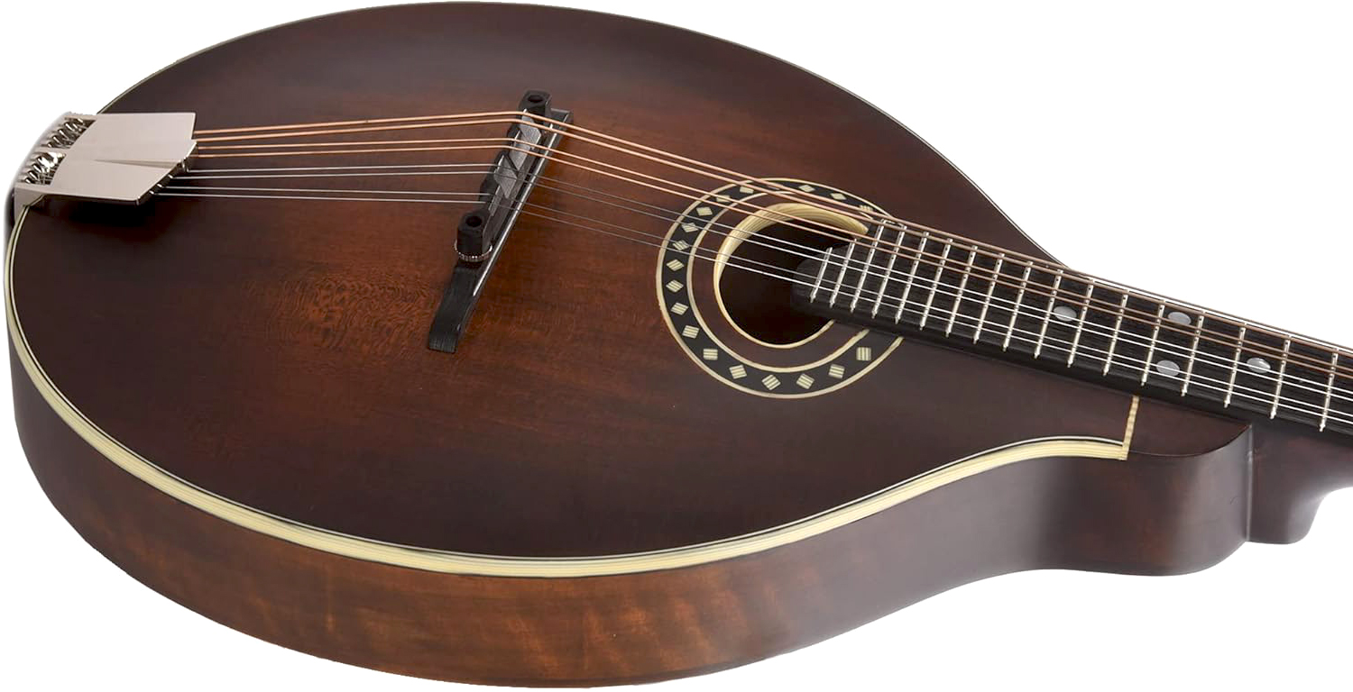 Eastman Md304 A-style Oval-hole Epicea Erable Eb +housse - Classic - Mandolina - Variation 2