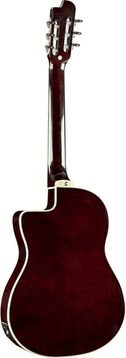 Eko N100cwe Nylon Electro Cutaway - Naturel - Guitarra clásica 4/4 - Variation 2