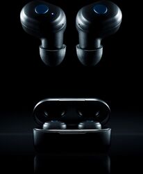 Electro harmonix R&B BUDS