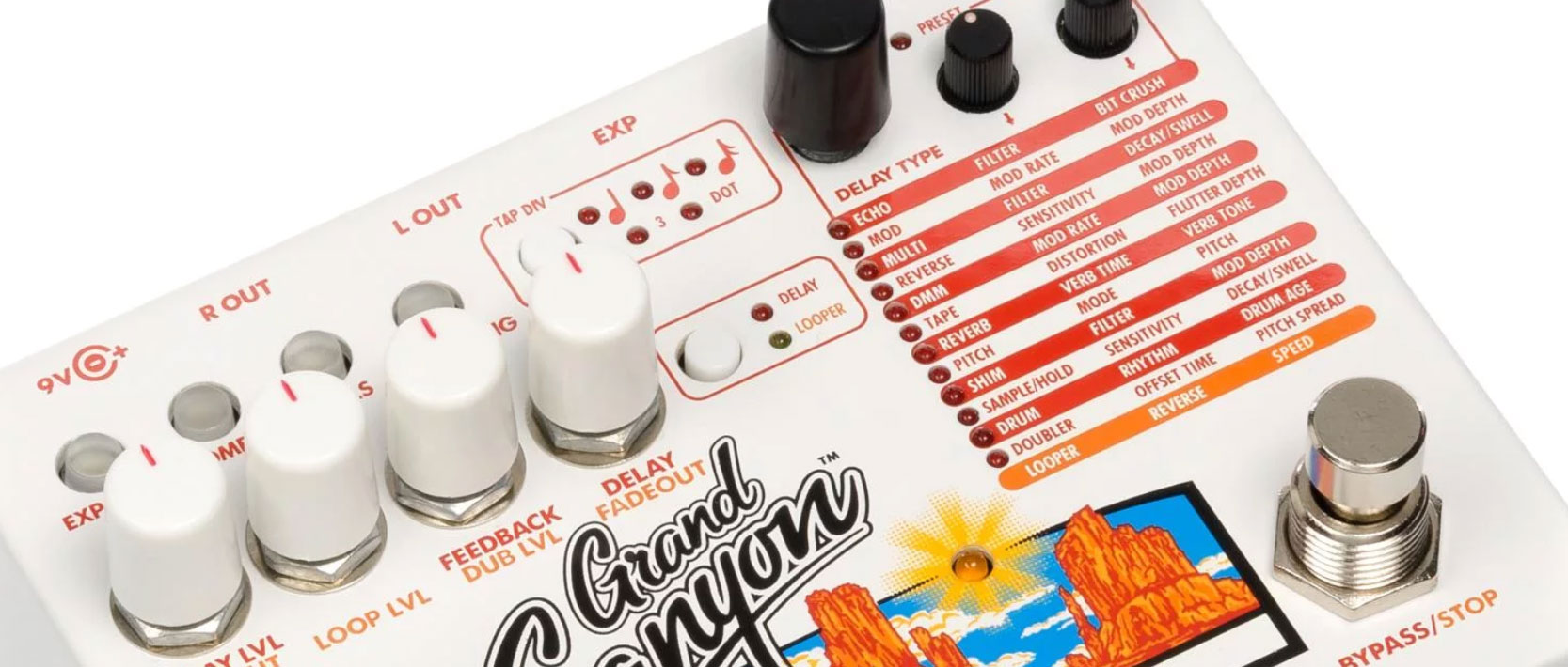 Electro Harmonix Grand Canyon Delay & Looper - Pedal looper - Variation 1