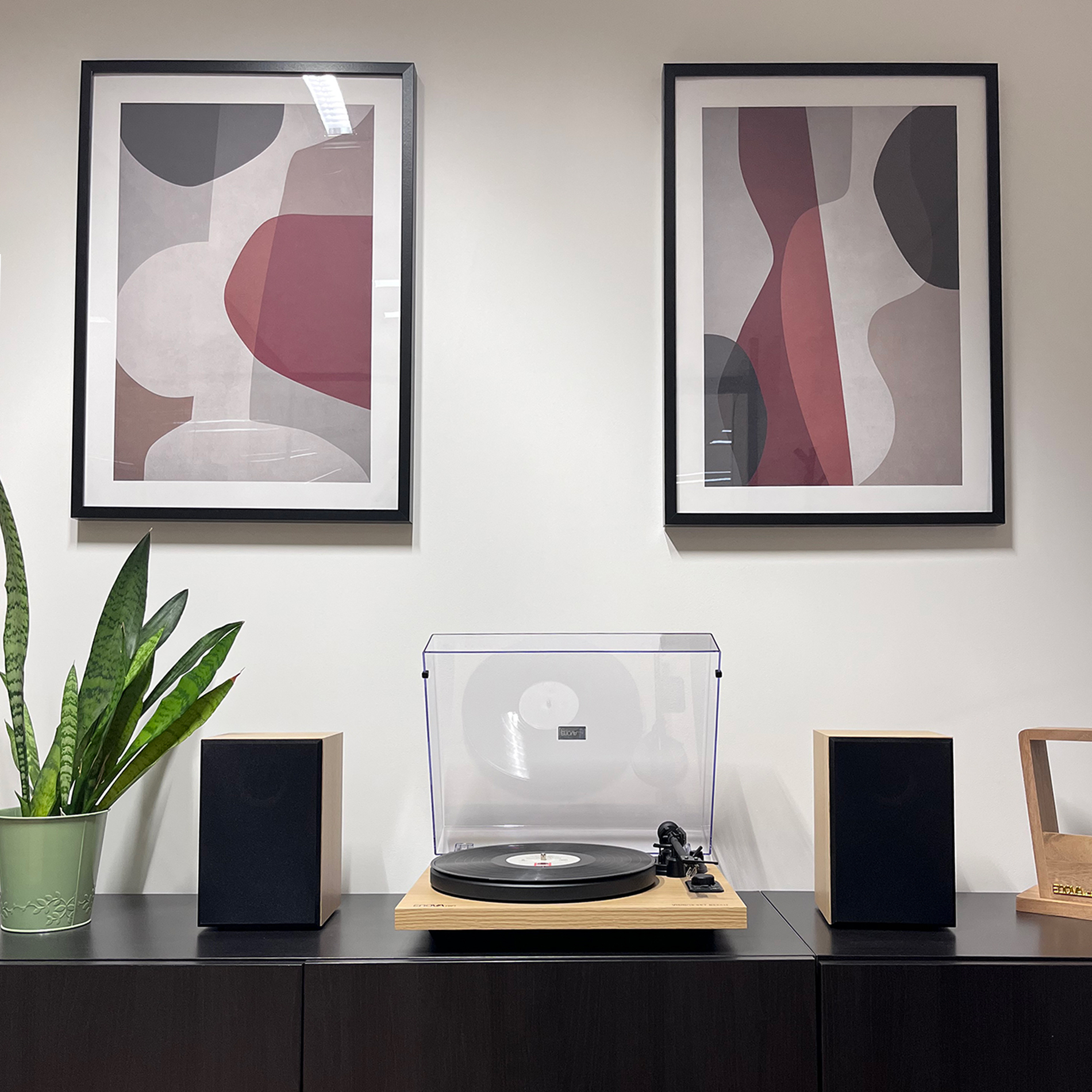Enova Hifi Vision2 Set Beech - Platos Hifi - Variation 11
