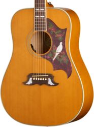 Guitarra folk Epiphone IBG Dove Studio - natural